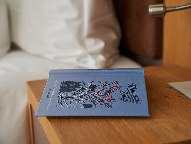 Buch im Superior Doppelzimmer im Hotel Victoria in Meiringen