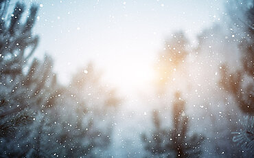 Schneefall bei einer Winterlandschaft