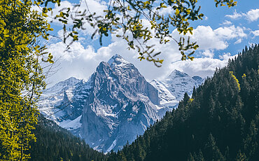 Berglandschaft im Haslital im Sommer