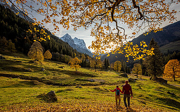 herbstliche Landschaft in Meiringen