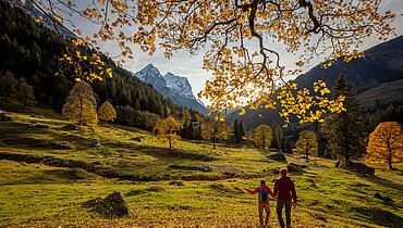 herbstliche Landschaft in Meiringen