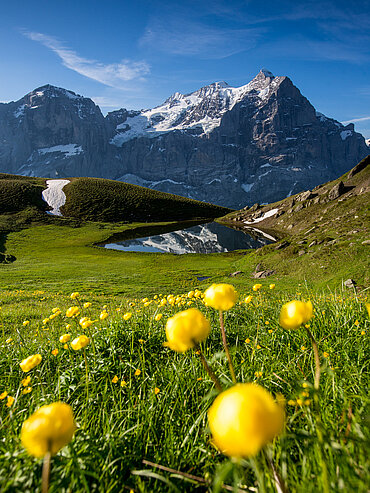 Haslital im Sommer Berner Oberland