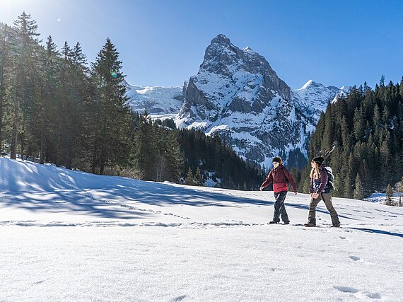Winter hiking Winterwandern im Urlaub in Meiringen im Winter