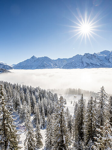 schneebedeckte Landschaft am Hasliberg im Winter