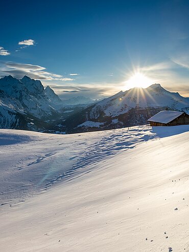 verschneite Berglandschaft vom Hasliberg im Winter