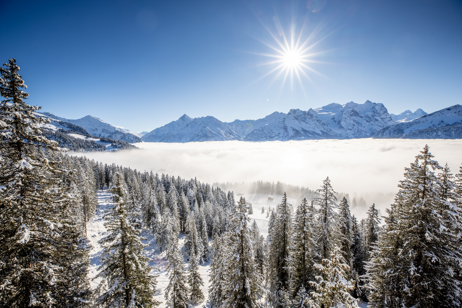 schneebedeckte Landschaft am Hasliberg im Winter