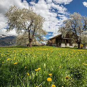 Spring vibes ️⁠ Mountains, sunshine & zero stress Hit pause. Breathe deep. Just be. #HelloSpring ⁠ ⁠ ⁠ ⁠ ️ @davidbirri⁠ #haslital #switzerland #myswitzerland #visitswitzerland ...
