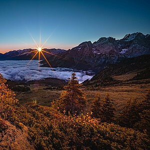 Golden light and endless calm. ⁠ Autumn reminds us that beauty never shouts — it simply glows. ⁠ #Swissalps⁠ #Haslital⁠ ⁠ ⁠ @alpine_treasures | @victoriameiringen⁠ .⁠ .⁠ .⁠ .⁠ .⁠ #switzerland ...