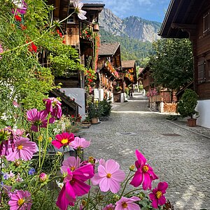 Postcard vibes just 10 minutes away Wooden chalets, flower power & pure Swiss charm – Brienz is calling! ⁠ ⁠ Follow @victoriameiringen to get to know a piece of paradise!